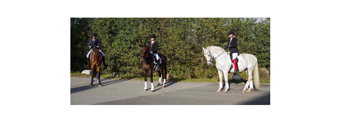 Camilla Kalseth Kurs